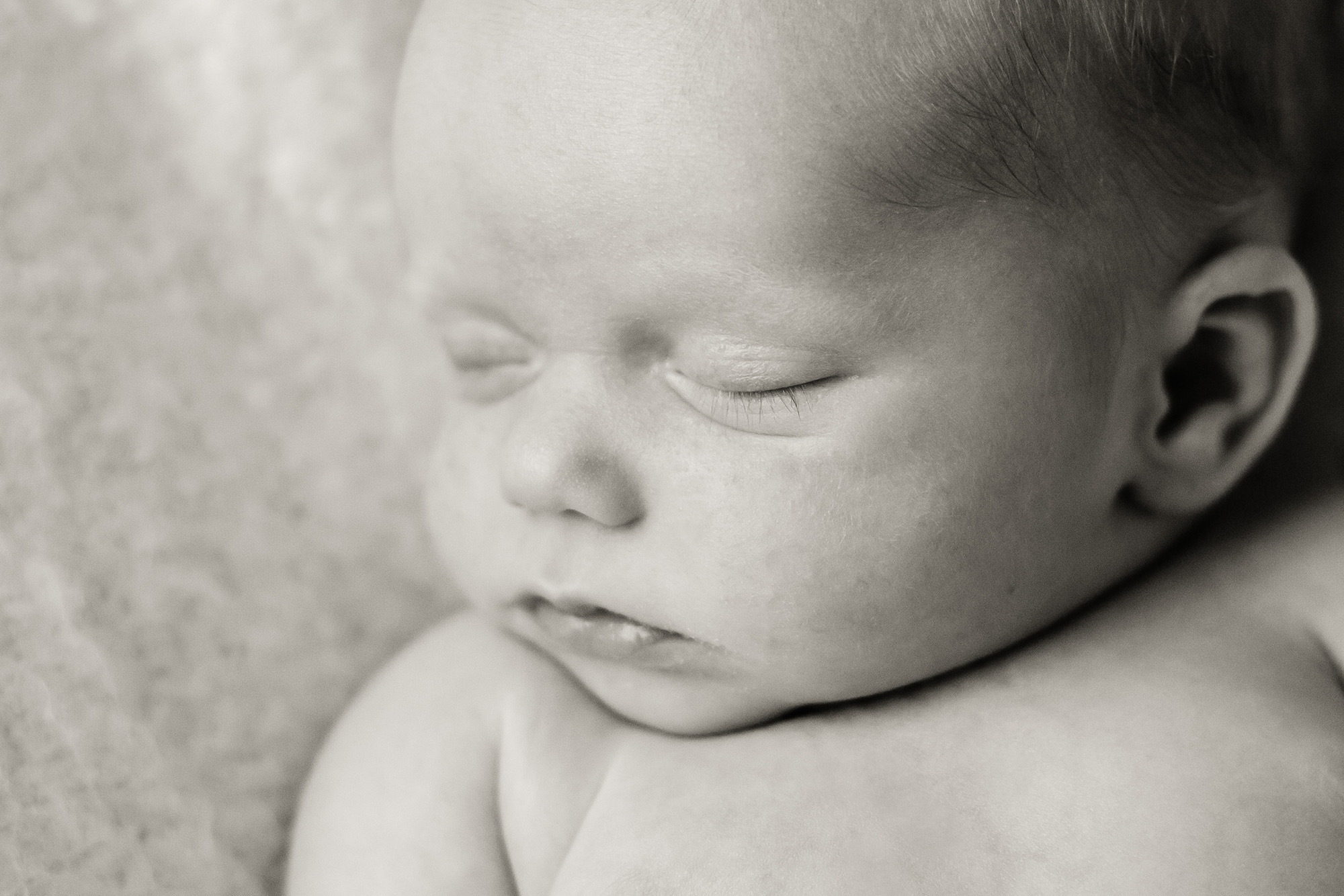 A baby naps | Alex Karl Photography | Palm Beach Newborn Photographer