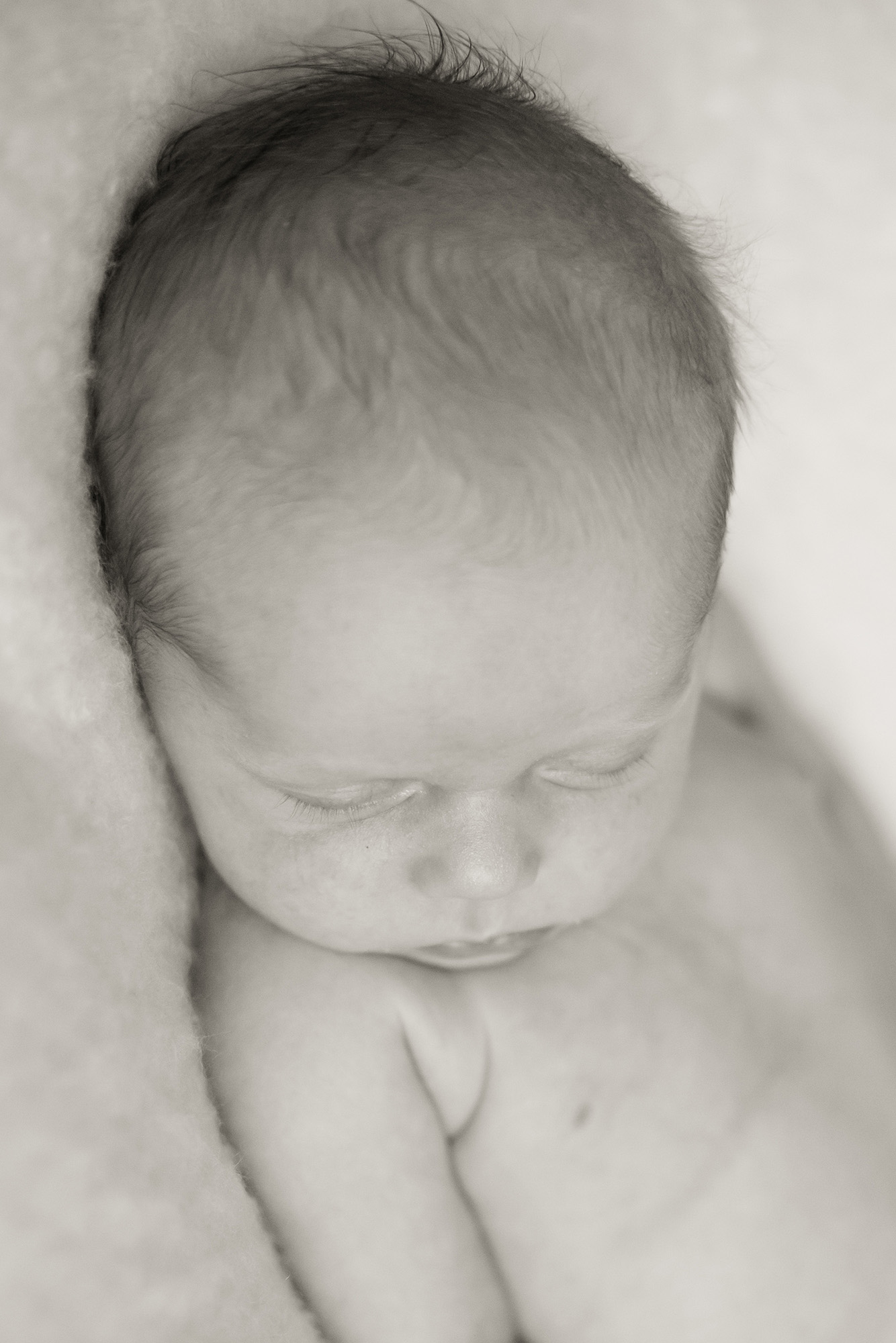 A newborn sleeps | Alex Karl Photography | Palm Beach Newborn Photographer