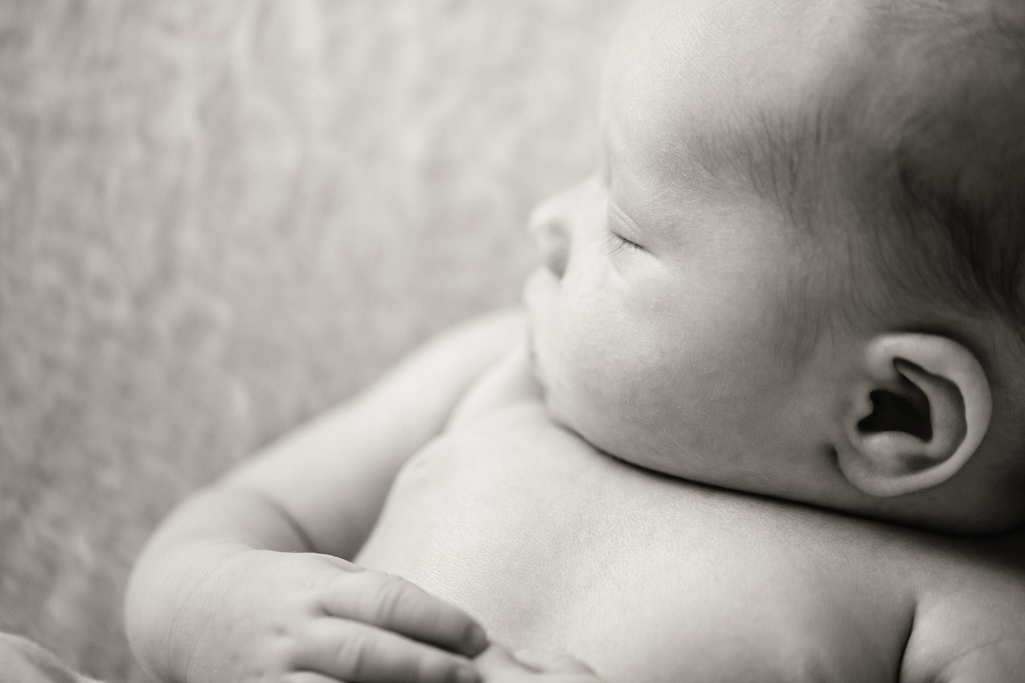 A newborn sleeps peacefully | Alex Karl Photography | Palm Beach Newborn Photographer