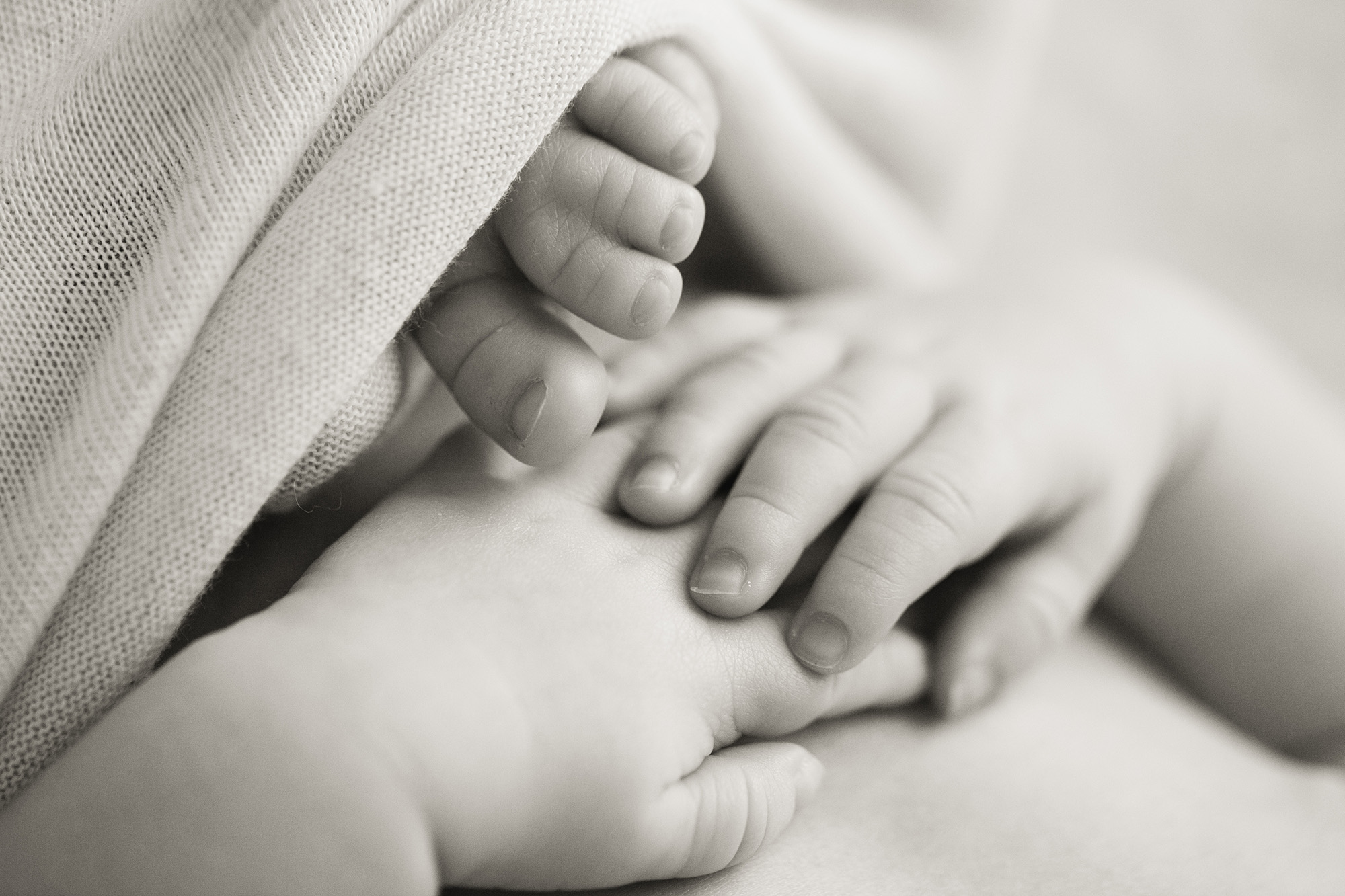 A baby's hands are clasped | Alex Karl Photography | Palm Beach Newborn Photographer